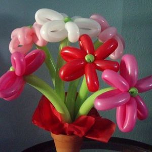 Meet your Posher, Debi